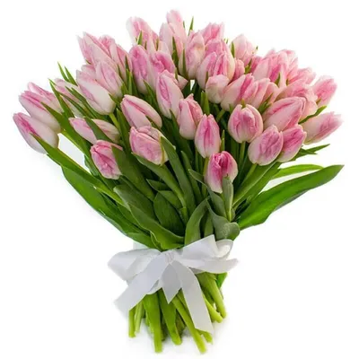 Розовые Тюльпаны, артикул: 606493, с доставкой в город Москва (внутри МКАД)