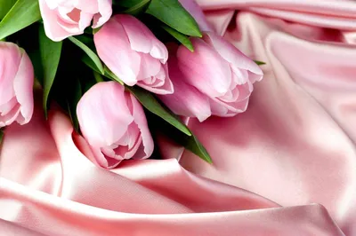 Заказать белые и розовые тюльпаны FL-2286 купить - хорошая цена на белые и розовые  тюльпаны с доставкой - FLORAN.com.ua