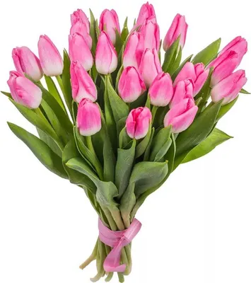 Нежно розовые тюльпаны купить в Краснодаре недорого - доставка 24 часа