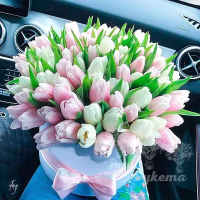 Тюльпаны нежно-розовые купить в Нижнем Новгороде