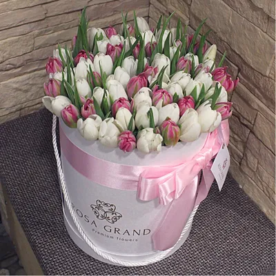 Тюльпаны розовые купить в Нижнем Новгороде
