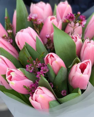Коробка из 51 тюльпана «Нежно-розовые тюльпаны», артикул: 333013368, с  доставкой в город Москва (внутри МКАД)