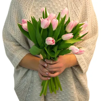 Букет из 31 розового тюльпана. Купить цветы.