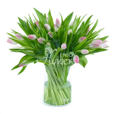 Мэри: розовые тюльпаны в шляпной коробке по цене 5125 ₽ - купить в  RoseMarkt с доставкой по Санкт-Петербургу