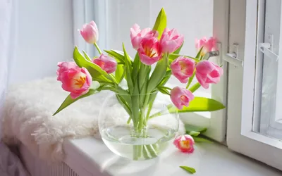 Фотообои \"Букет тюльпанов в вазе\" - Арт. 170848 | Купить в  интернет-магазине Уютная стена