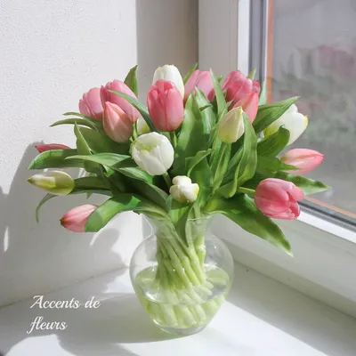 Белые тюльпаны Голландия в вазе 35 штук купить в интернет-магазине