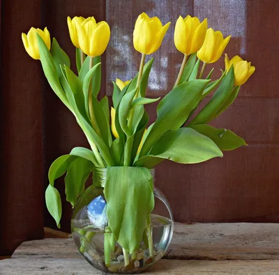Тюльпаны в вазе на окне стоковое изображение. изображение насчитывающей  пестроткано - 73372351