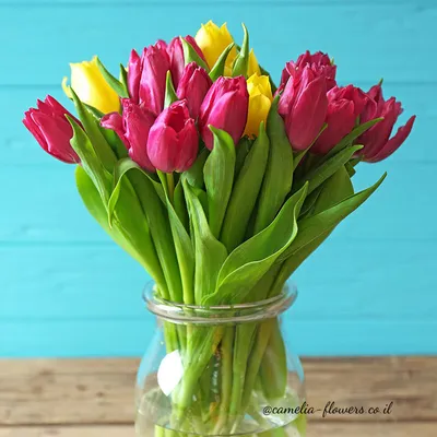 Красные тюльпаны в вазе - 77 фото