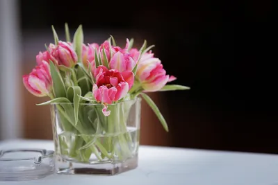 Розовые тюльпаны из стекла в вазочке,1, 3 или 5 цветов. - Imperialglass