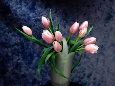 Скачать обои цветы, бутоны, букет, тюльпаны, flowers разрешение 1024x768  #165415