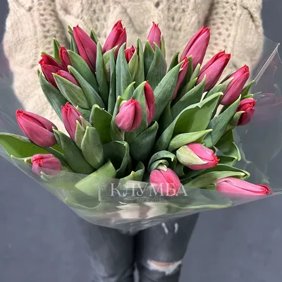 Картинка сиреневый букет Тюльпаны Цветы