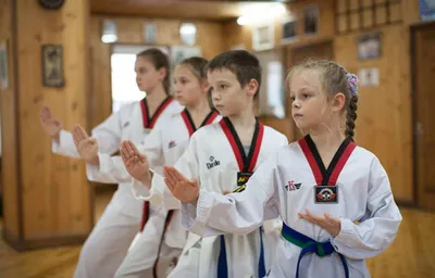 12-ый Международный турнир по тхэквондо (ВТФ) «Russian Open» — «Комета»