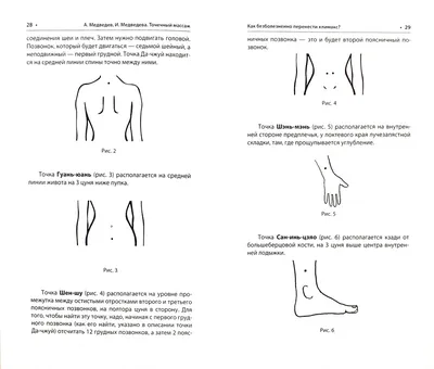 Массаж ушей: важные точки - Студия эстетики тела Марины Костровой