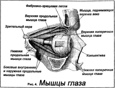 Как часто можно делать массаж: от чего это зависит