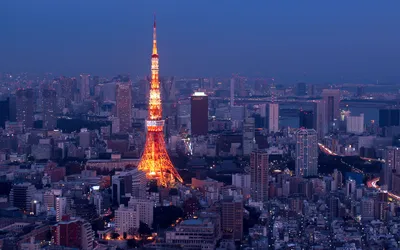 Неоновые света Akihabara, района покупок электроники ` S токио известного,  блестящего на ненастной ноче Редакционное Стоковое Фото - изображение  насчитывающей знаки, самомоднейше: 90809363