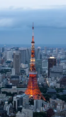 Токио — почувствуйте дух древнего мегаполиса — экскурсия на «Тонкостях  туризма»