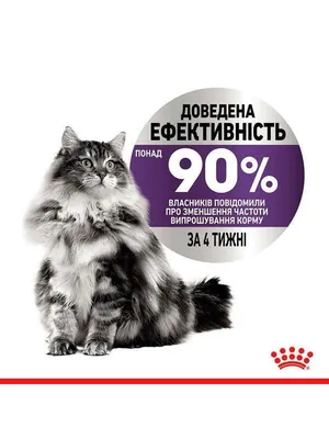 Когтеточка для крупных котов: 790 грн. - Зоотовары Киев на Olx