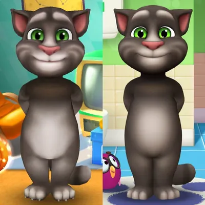 Flip | My Talking Tom 2 Wiki | Fandom