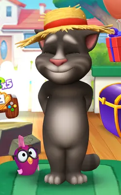 My Talking Tom 2 Guide - 10 tips you need for My Talking Tom's 10th  anniversary party | Pocket Gamer