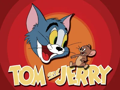 Том и Джерри» станут полнометражным гибридом игрового кино и анимации —  Новости на Кинопоиске
