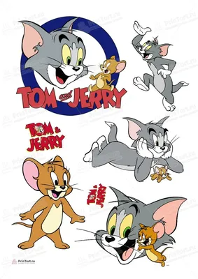 Том и Джерри (сериал, 1 сезон, все серии), 1940-1992 — описание, интересные  факты — Кинопоиск