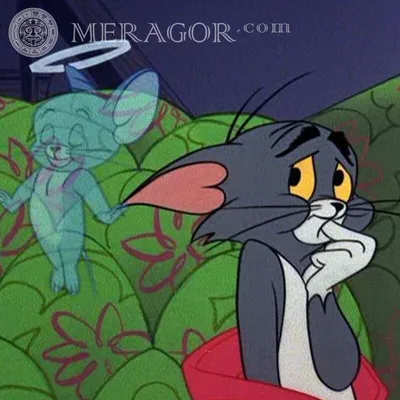 MERAGOR | Том и Джерри на аву
