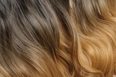 Окрашивание и тонирование волос сеть салонов красоты Sil-beauty.ru