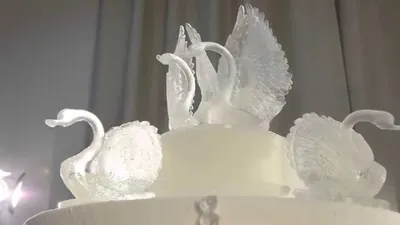 10 необычных тортов кулинара, изготовившего шедевр для свадьбы в Шымкенте:  14 января 2018, 11:31 - новости на Tengrinews.kz