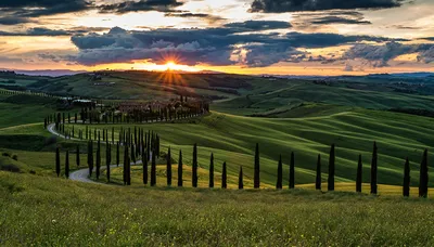 Фотография Тоскана Италия Природа Поля Небо Холмы Пейзаж Рассветы и