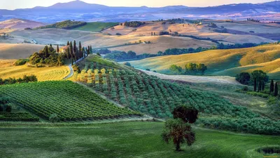 Обои Тоскана, Италия, поле, Tuscany, Italy, Europe, hills, green, field,  4K, Природа #16282