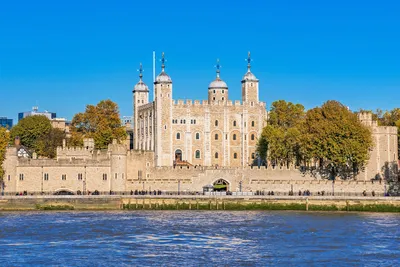 Insider Tips For Visiting The Tower of London - Signature Townhouse Hyde  Park