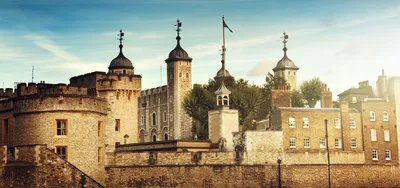 Guide to the Tower of London with Kids - Suitcases and Sandcastles