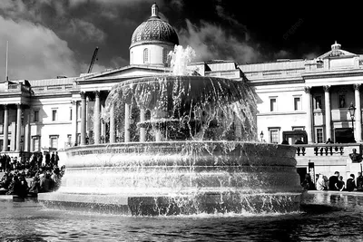 Trafalgar Square Lion At Nelson Column, London, UK Фотография, картинки,  изображения и сток-фотография без роялти. Image 154003270