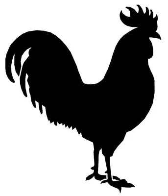трафарет петуха - Поиск в Google | Rooster silhouette, Halloween pumpkin  carving stencils, Chicken outline