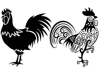 логотип петуха значок курица и дизайн символов шаблон Иллюстрация вектора -  иллюстрации насчитывающей биографической, ферма: 225245906