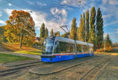 Раскрыт маршрут новогоднего трамвая в Москве - Мослента