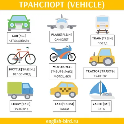 Основные виды транспорта в английском | Транспорт, Английский, Слова