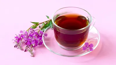 Иван-чай: польза и противопоказания для женщин и мужчин