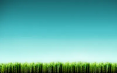 зеленая трава на белом фоне фотография Stock | Adobe Stock