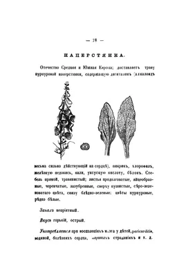 Бальзам «Старый травник» 0,35л — цена, продажа в магазине «Ласточка».