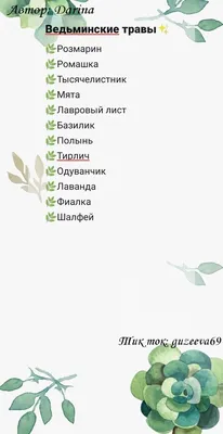 Травы для ведьминского сада | Пучки сушёных трав, Зеленая ведьма, Трава