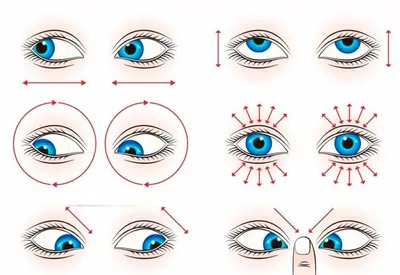 Зарядка для глаз улучшение зрения | Упражнения, Здоровье, Гимнастика