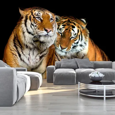 Модные фото обои в зал Животные 368х254 см 3D Два тигра Кошки Дикая природа  (130P8)+клей (ID#1025369324), цена: 1200 ₴, купить на Prom.ua