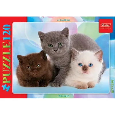 Торт три котенка (3) - купить на заказ с фото в Москве