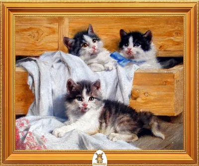 три котенка на книге глядя на зрителя изолированные Стоковое Фото -  изображение насчитывающей прелестное, шерсть: 224667300