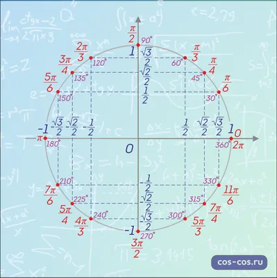 Тригонометрический круг на Quadrantsversatile Sheetdetermination плутовки  тригонометрии 4 знаков синус функций Иллюстрация вектора - иллюстрации  насчитывающей коллеж, добавочно: 208736452