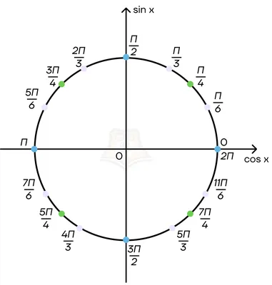 Тригонометрическая окружность и графики функций - Умскул Учебник