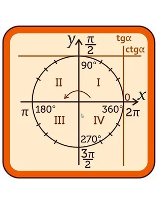 Тригонометрическая окружность и графики функций - Умскул Учебник