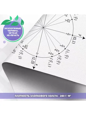 Тригонометрический круг | ЕГЭ. Математика | ВКонтакте