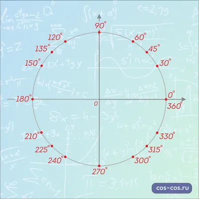 Постер Тригонометрический круг Математика для школы 50х70 см PosterNak  106717488 купить за 546 ₽ в интернет-магазине Wildberries